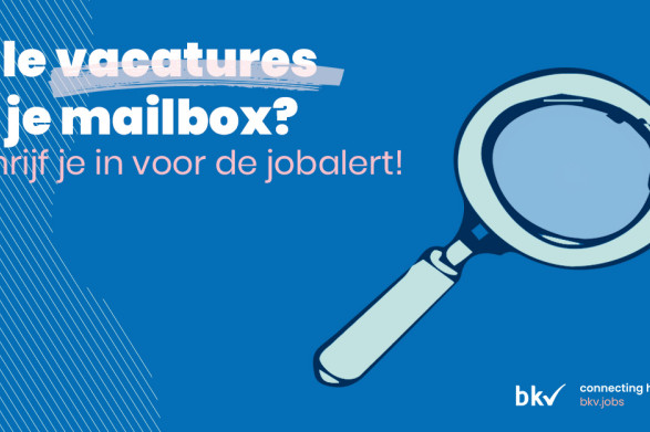 vacatureswebsitesalariswijzer(2).jpg